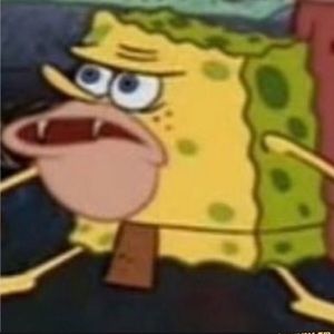 Meet your Posher, Logan